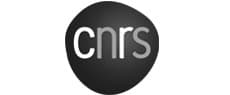 Logo CNRS